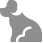 Bisküviler