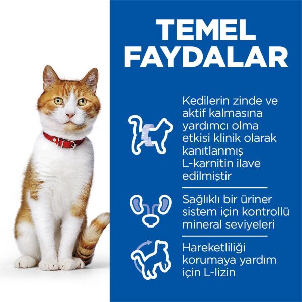 Hill's SCIENCE PLAN Somon Kısırlaştırılmış Yetişkin Kedi Maması 3 Kg