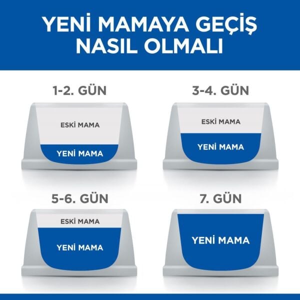 Hill's SCIENCE PLAN Somon Kısırlaştırılmış Yetişkin Kedi Maması 3 Kg