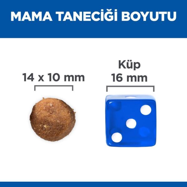 Hill's SCIENCE PLAN Ton Balıklı ve Pirinçli Orta Irk Yetişkin Köpek Maması 10+2kg