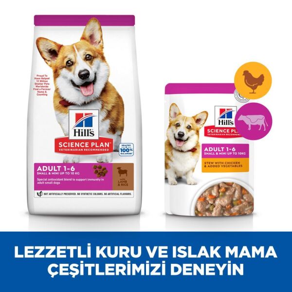 Hill's SCIENCE PLAN Kuzulu Küçük Irk Yetişkin Köpek Maması 6 Kg