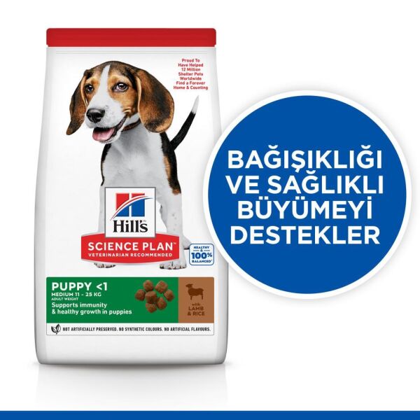 Hill's SCIENCE PLAN Kuzulu ve Pirinçli Orta Irk Yavru Köpek Maması 12+2kg