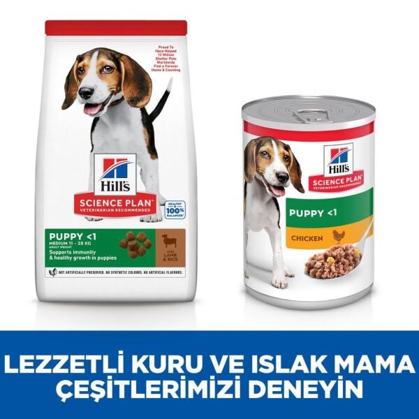 Hill's SCIENCE PLAN Kuzulu ve Pirinçli Orta Irk Yavru Köpek Maması 12+2kg