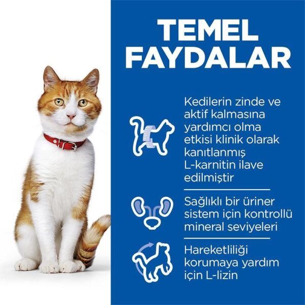 Hill's SCIENCE PLAN Somonlu Kısırlaştırılmış Yetişkin Kedi Maması 13+2 Kg