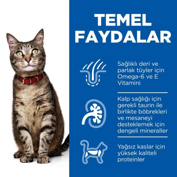 Hill's SCIENCE PLAN  Yetişkin Kuzulu Kedi Maması 3kg