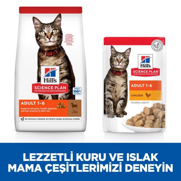 Hill's SCIENCE PLAN  Yetişkin Kuzulu Kedi Maması 3kg