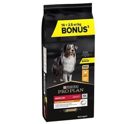 Proplan Medium Adult Tavuklu Yetişkin Köpek Maması 16,5 Kg