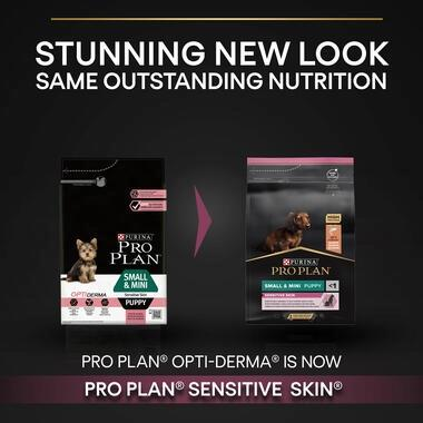 Proplan Small Mini Puppy Somonlu Küçük Irk Yavru Köpek Maması 3 Kg