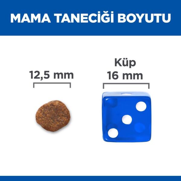 Hill's SCIENCE PLAN Hypo-Allergenic Somonlu Orta Irk Yetişkin Köpek Maması 12 Kg