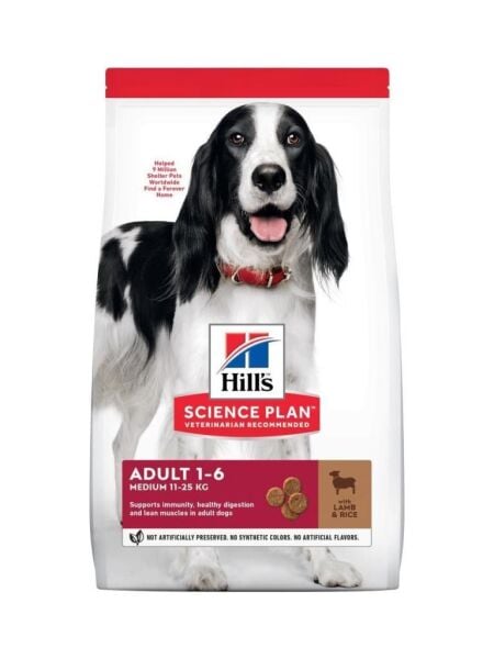 Hills Adult Lamb Kuzu Etli Orta Irk Yetişkin Köpek Maması 14 Kg