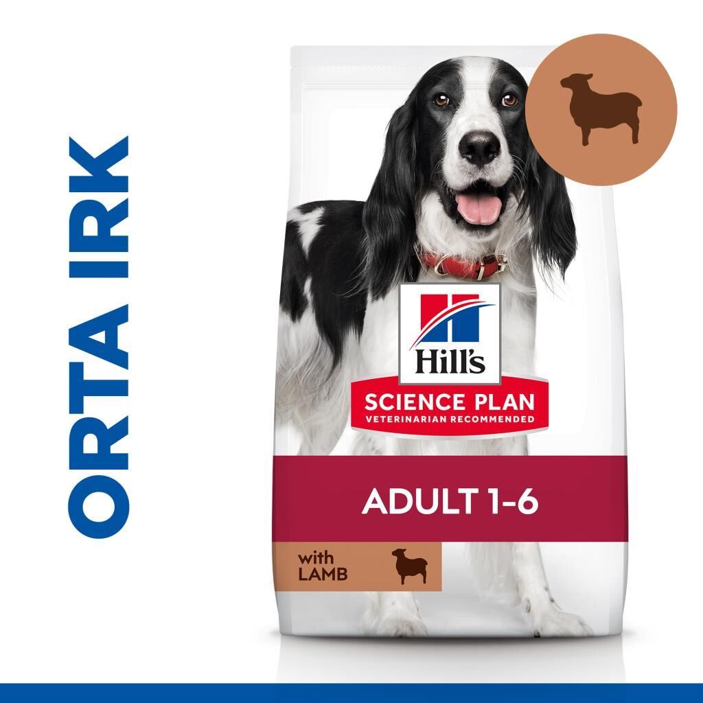 Hill's SCIENCE PLAN Adult Lamb Kuzu Etli Orta Irk Yetişkin Köpek Maması 14 Kg