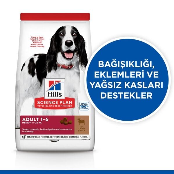 Hill's SCIENCE PLAN Adult Lamb Kuzu Etli Orta Irk Yetişkin Köpek Maması 14 Kg