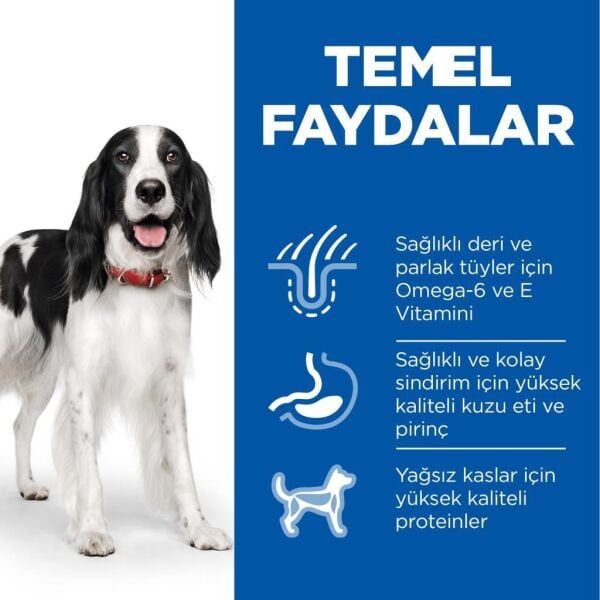 Hill's SCIENCE PLAN Adult Lamb Kuzu Etli Orta Irk Yetişkin Köpek Maması 14 Kg