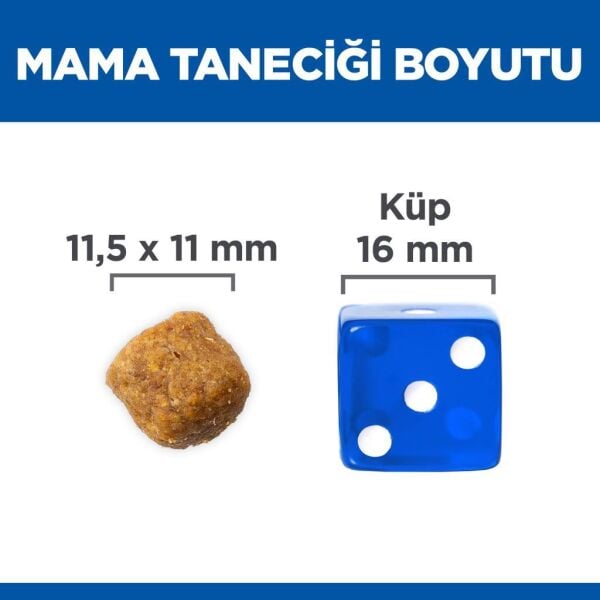 Hill's SCIENCE PLAN Adult Lamb Kuzu Etli Orta Irk Yetişkin Köpek Maması 14 Kg
