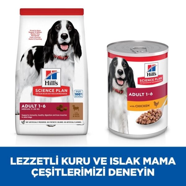 Hill's SCIENCE PLAN Adult Lamb Kuzu Etli Orta Irk Yetişkin Köpek Maması 14 Kg