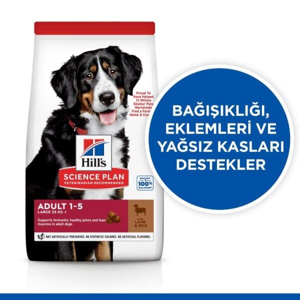 Hill's SCIENCE PLAN Kuzulu ve Pirinçli Büyük Irk Yetişkin Köpek Maması 12+2kg