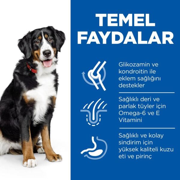 Hill's SCIENCE PLAN Kuzulu ve Pirinçli Büyük Irk Yetişkin Köpek Maması 12+2kg