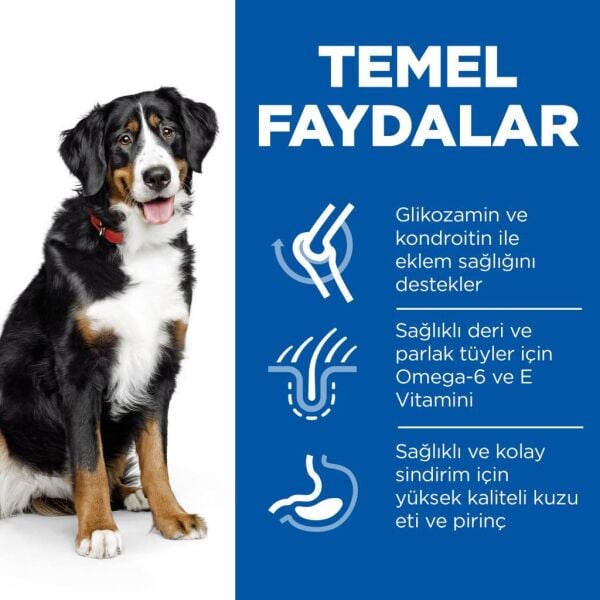 Hill's SCIENCE PLAN Kuzulu ve Pirinçli Büyük Irk Yetişkin Köpek Maması 12+2kg
