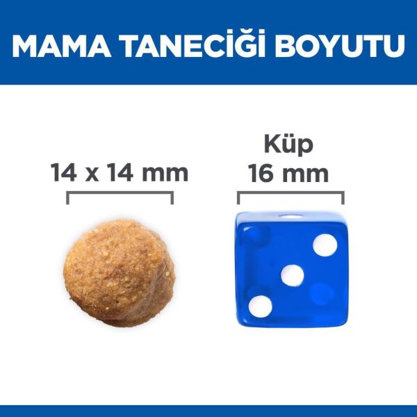 Hill's SCIENCE PLAN Kuzulu ve Pirinçli Büyük Irk Yetişkin Köpek Maması 12+2kg