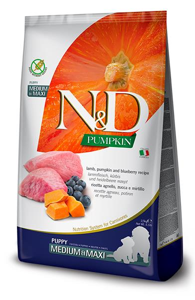 N&D Tahılsız Bal Kabağı, Kuzu Etli ve Yaban Mersinli Orta ve Büyük Irk Yavru Köpek Maması 12 Kg