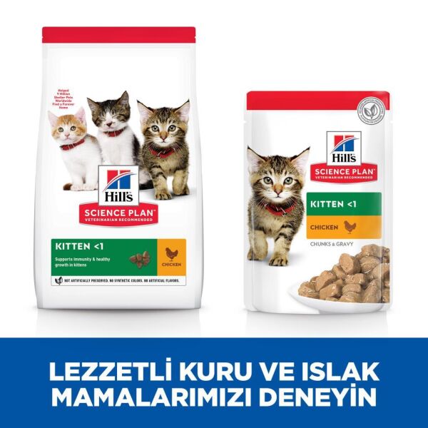 Hill's SCIENCE PLAN  Tavuklu Yavru Kedi Maması 3kg