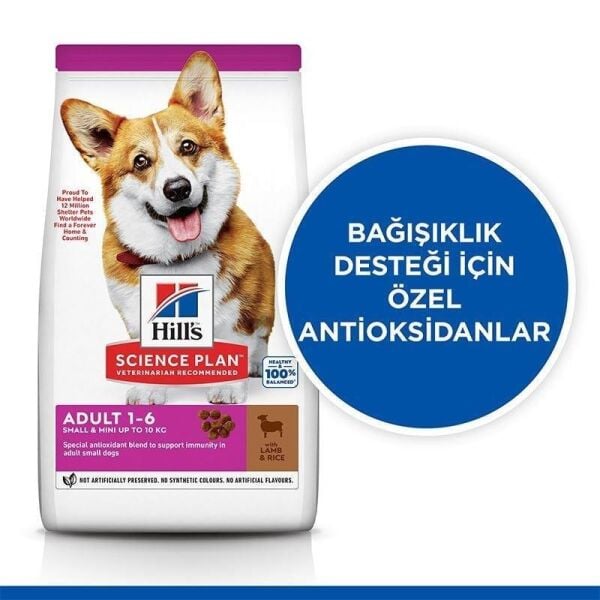 Hills Small Mini Küçük Irk Kuzulu Yetişkin Köpek Maması 1,5 Kg