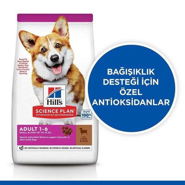 Hills Small Mini Küçük Irk Kuzulu Yetişkin Köpek Maması 1,5 Kg