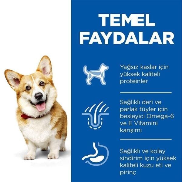 Hills Small Mini Küçük Irk Kuzulu Yetişkin Köpek Maması 1,5 Kg