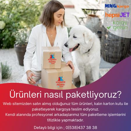 Molly Tavuklu Yavru Kedi Maması 15 Kg