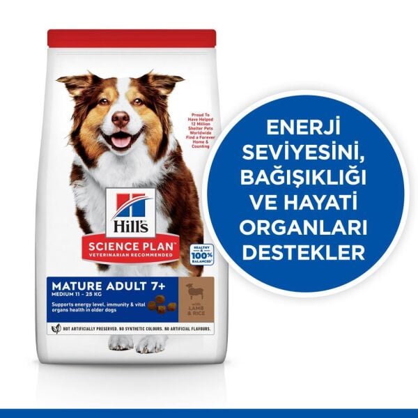 Hill's SCIENCE PLAN Mature 7+ Kuzulu ve Pirinçli Yaşlı Köpek Maması 14 Kg