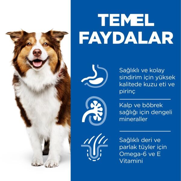 Hill's SCIENCE PLAN Mature 7+ Kuzulu ve Pirinçli Yaşlı Köpek Maması 14 Kg