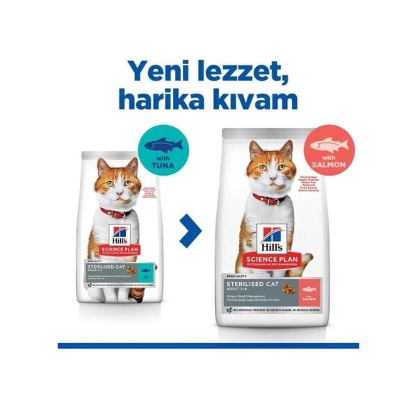 Hill's SCIENCE PLAN Somon Balıklı Kısırlaştırılmış Yetişkin Kedi Maması 8+2kg